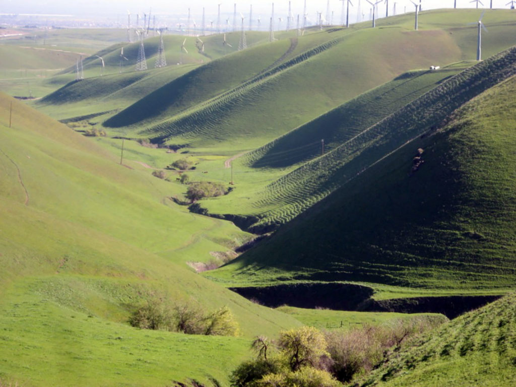Stream Hills Windmills