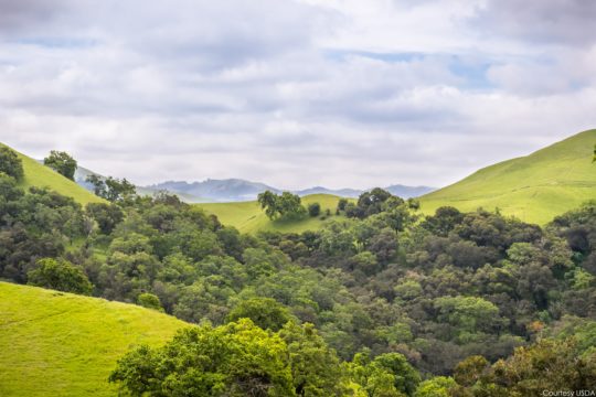 Alameda County Conservation Partnership