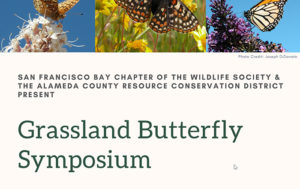 Grassland Butterfly Symposium