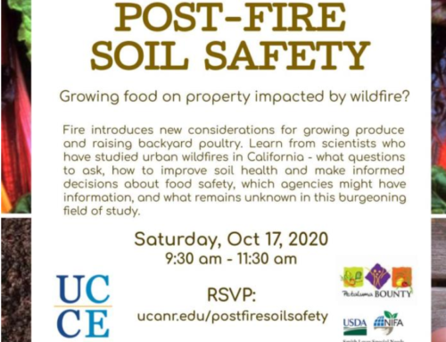 Impacts of Smoke/Ash on Food Production