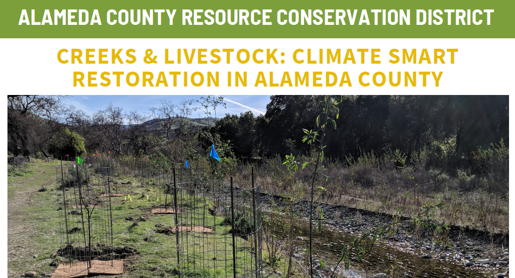 ACRCD_CreeksAndLivestock