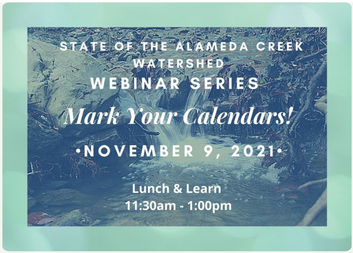 webinar