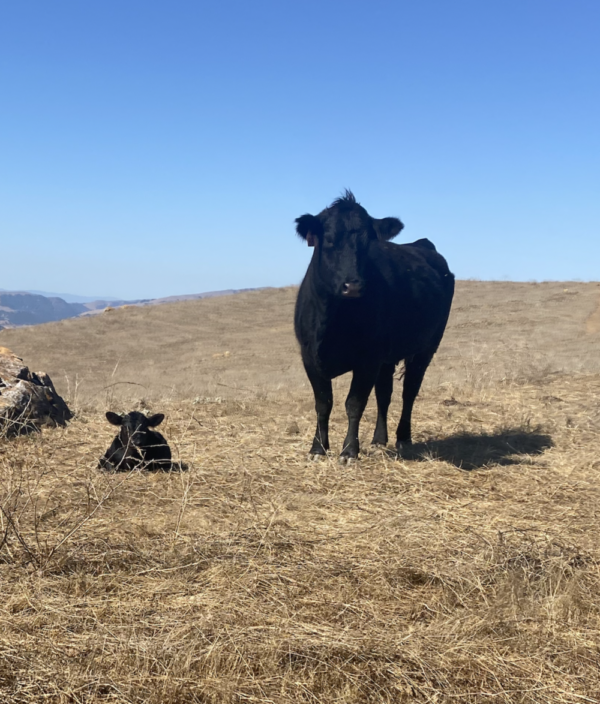 Alameda County Conservation Partnership