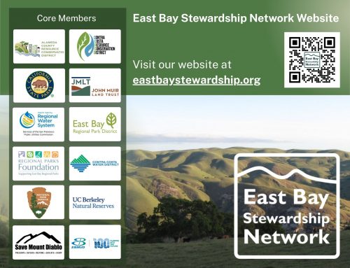 East Bay Stewardship Network