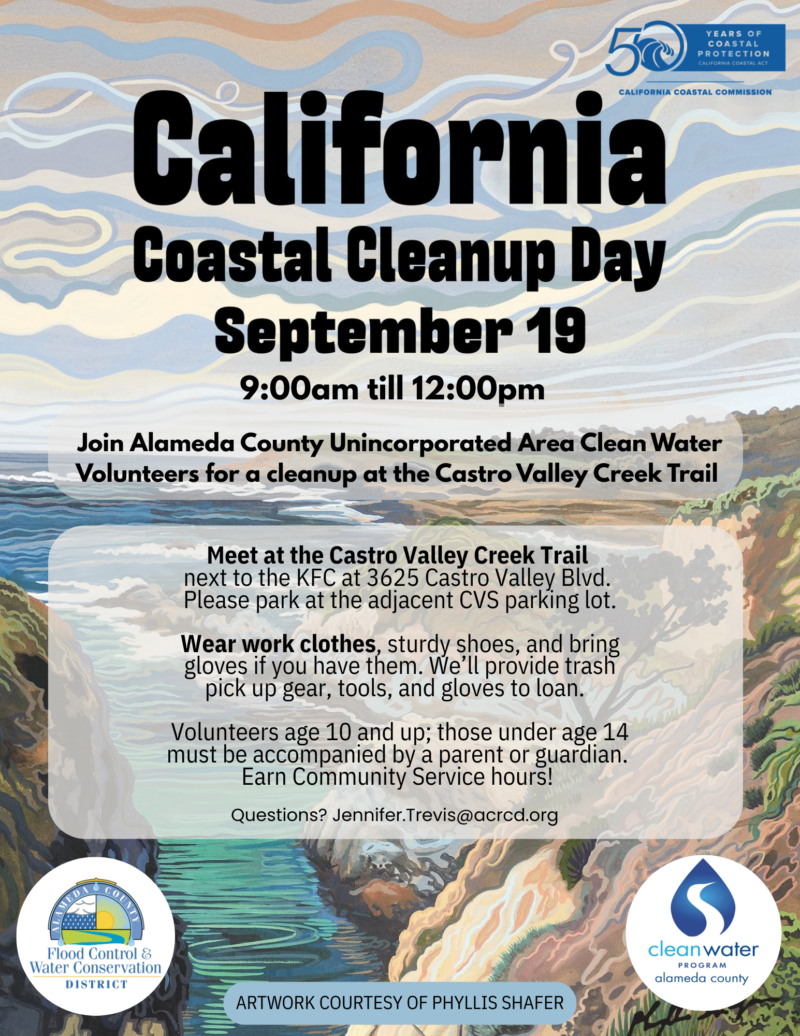 Coastal Clean Up Day 2026 – Option 3